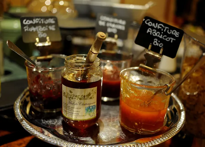 阿尔伯特第一酒店 3* 圖盧茲